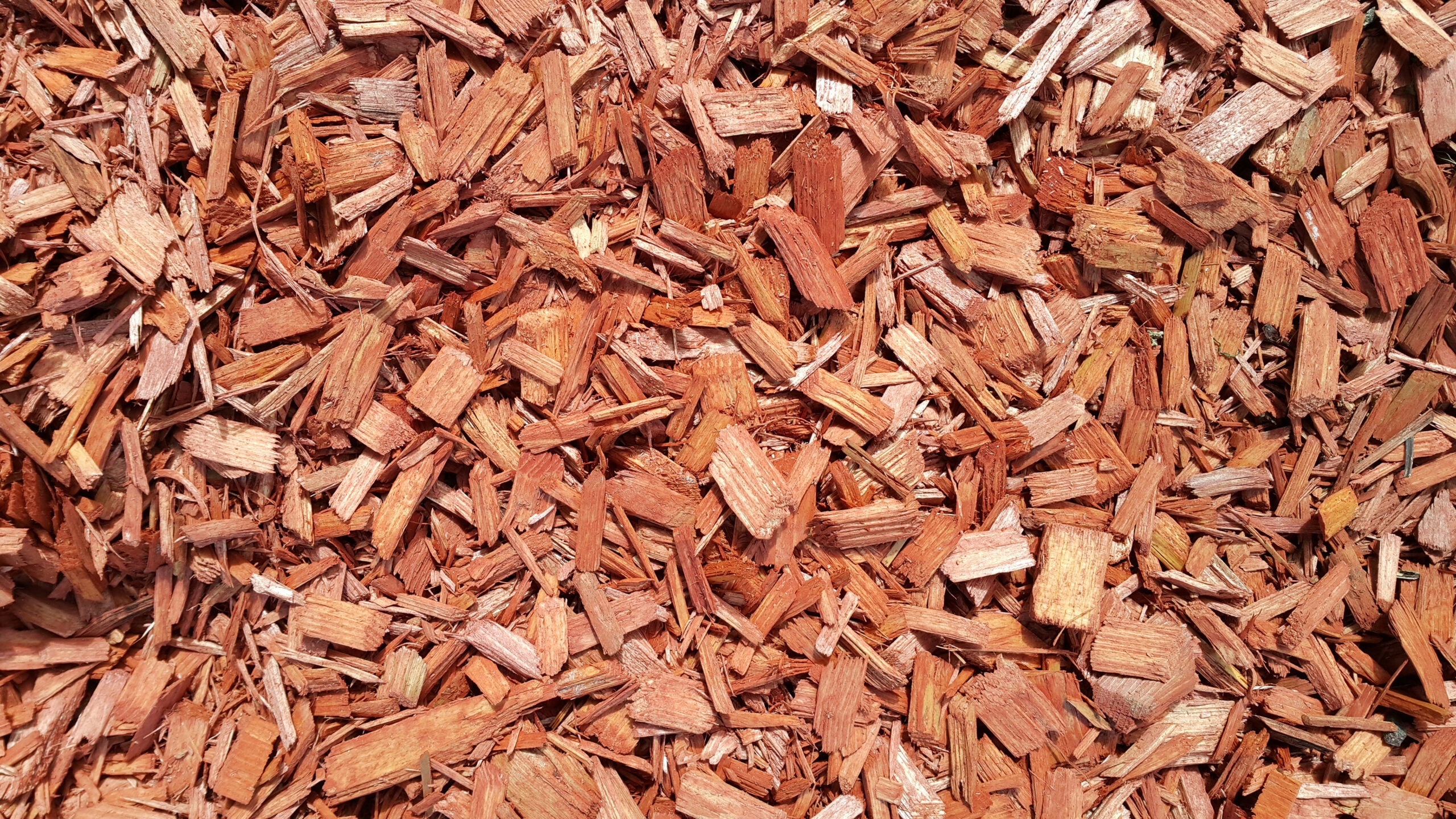 From Stump to Mulch: Practical Ideas for Repurposing Woodchips